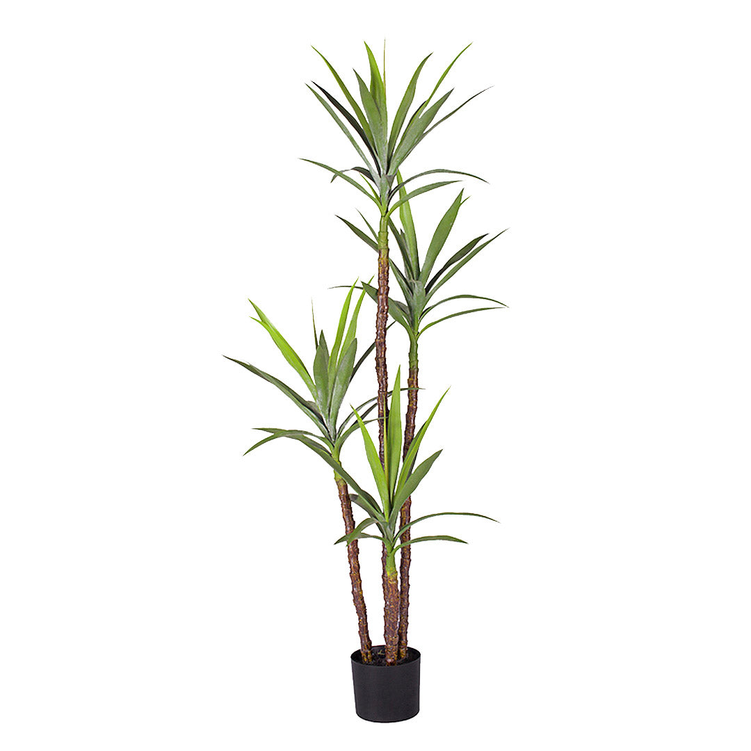 NNEAGS 180cm Artificial Natural Green Dracaena Yucca Tree Fake Tropical Indoor Plant Home Office Decor